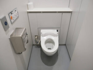 Sanibroyeur toilet
